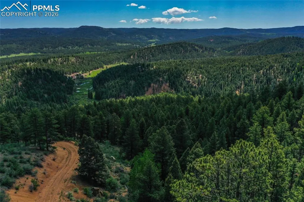 29545 Highway 67 Woodland Park, CO 80863