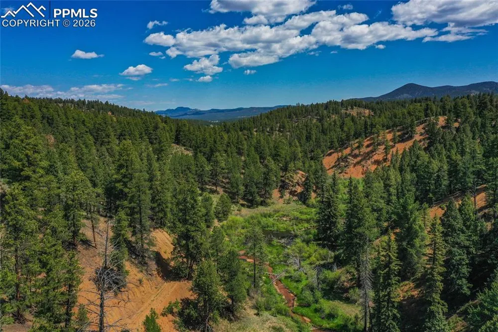 29545 Highway 67 Woodland Park, CO 80863