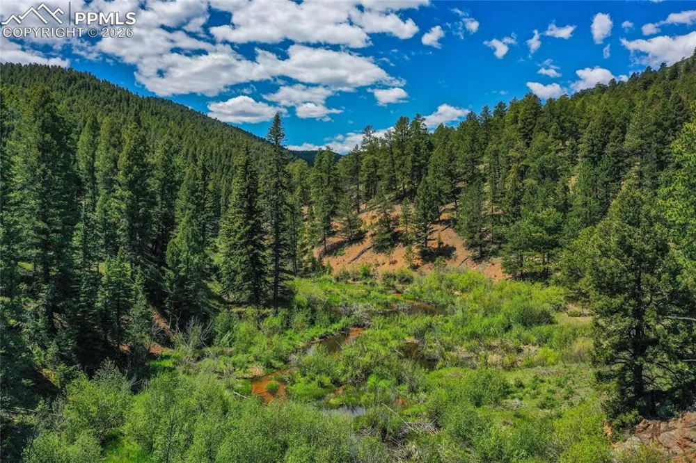 29545 Highway 67 Woodland Park, CO 80863