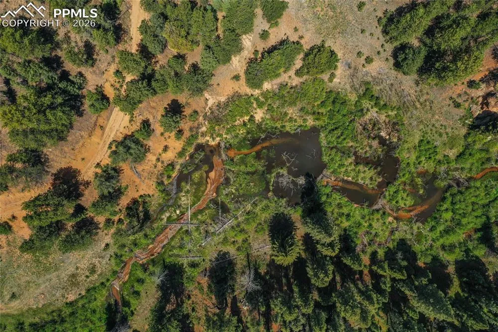 29545 Highway 67 Woodland Park, CO 80863