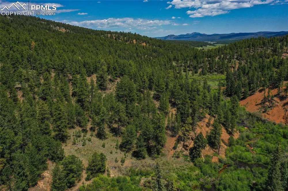 29545 Highway 67 Woodland Park, CO 80863