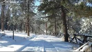 29545 Highway 67 Woodland Park, CO 80863