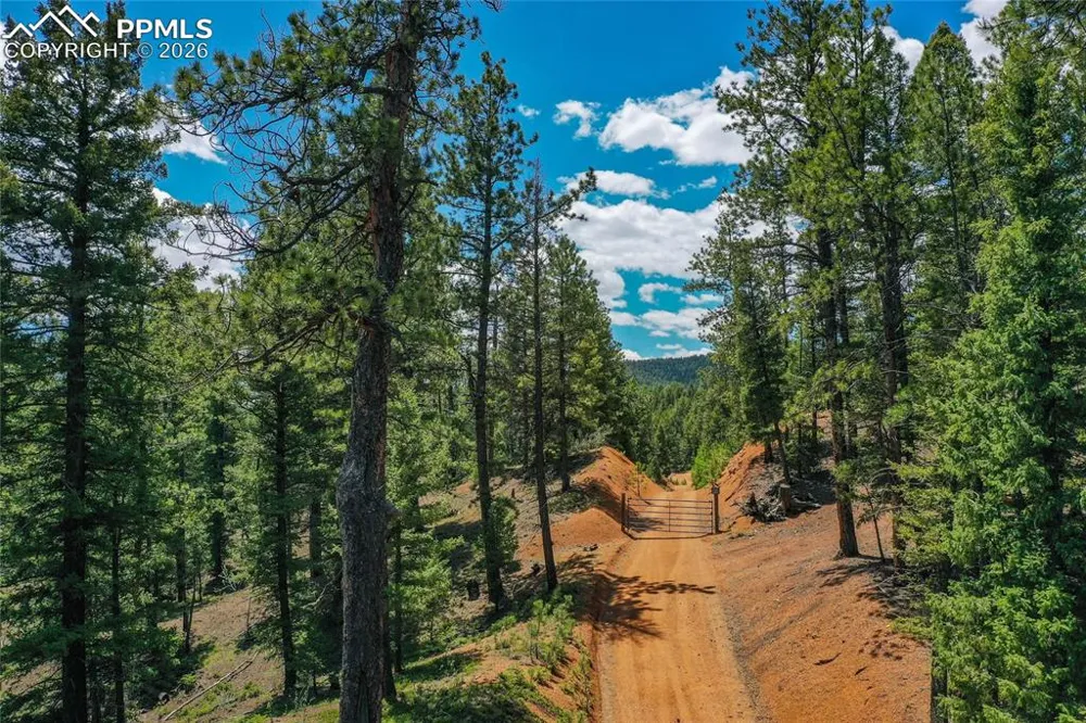 29545 Highway 67 Woodland Park, CO 80863