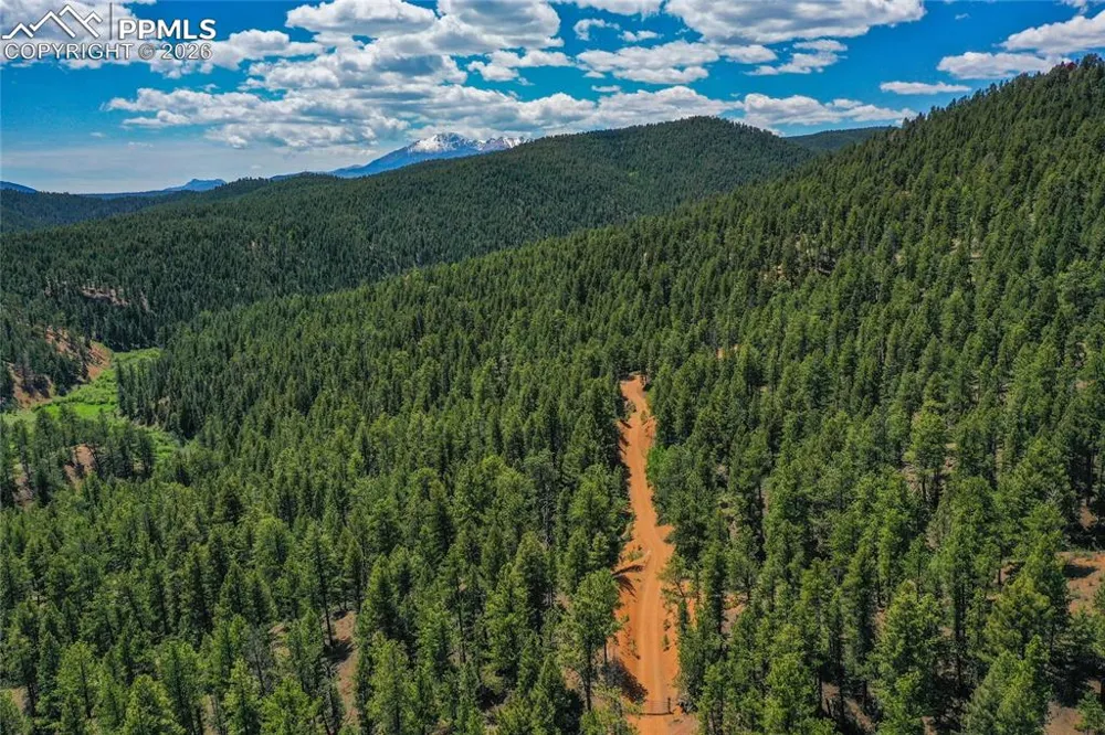 29545 Highway 67 Woodland Park, CO 80863