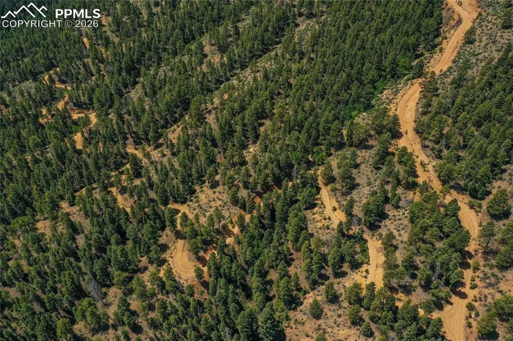 29545 Highway 67 Woodland Park, CO 80863