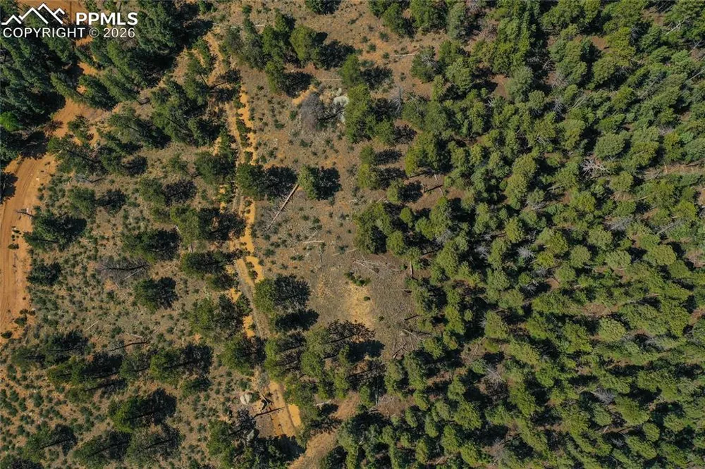 29545 Highway 67 Woodland Park, CO 80863