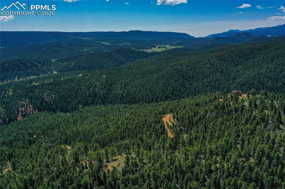 29545 Highway 67 Woodland Park, CO 80863