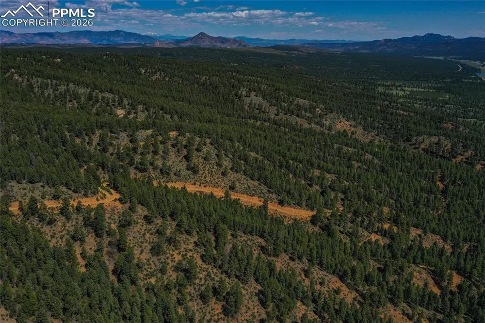 29545 Highway 67 Woodland Park, CO 80863