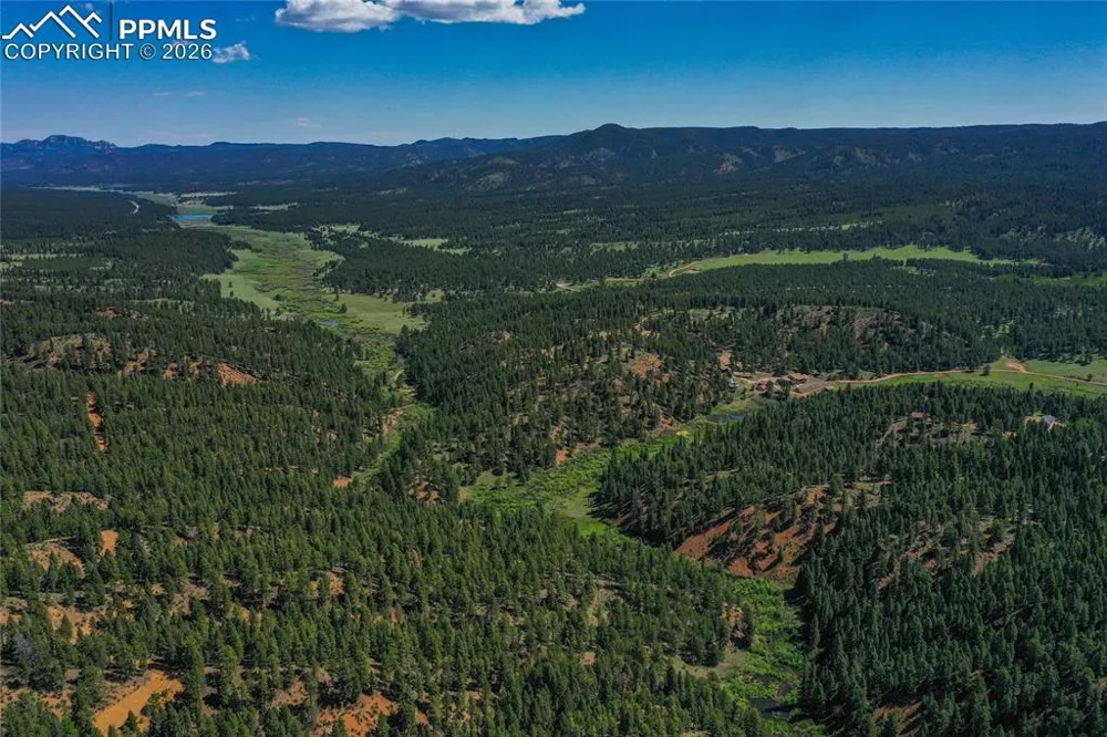29545 Highway 67 Woodland Park, CO 80863