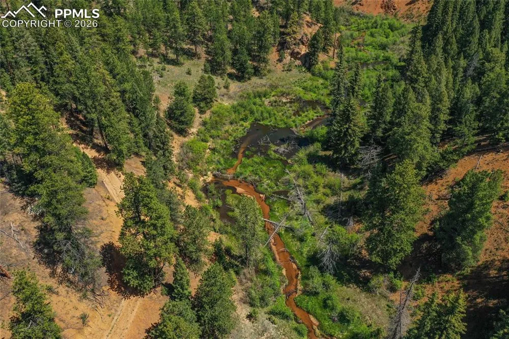 29545 Highway 67 Woodland Park, CO 80863