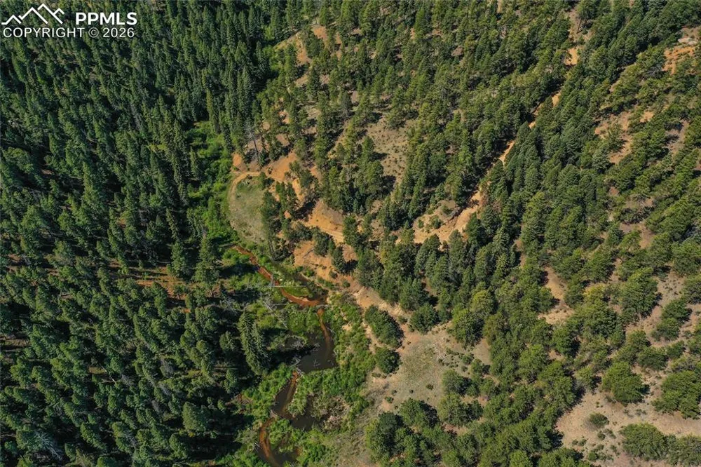 29545 Highway 67 Woodland Park, CO 80863