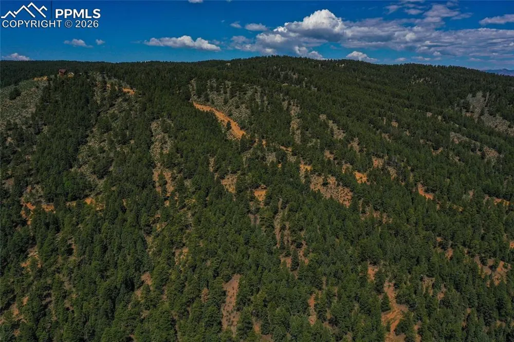 29545 Highway 67 Woodland Park, CO 80863