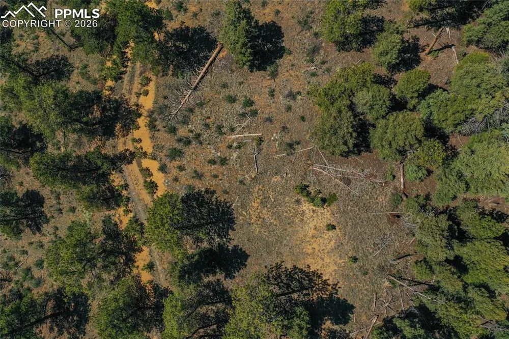 29545 Highway 67 Woodland Park, CO 80863