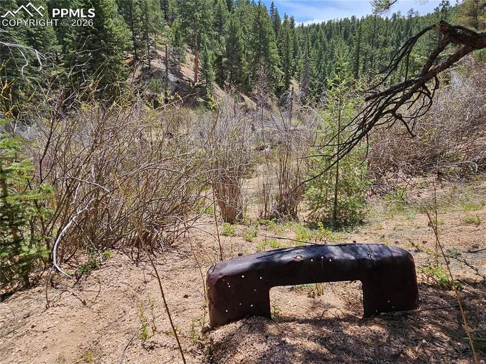 29545 Highway 67 Woodland Park, CO 80863