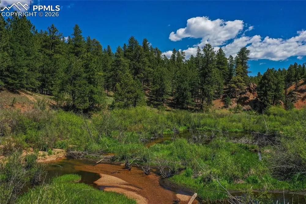29545 Highway 67 Woodland Park, CO 80863