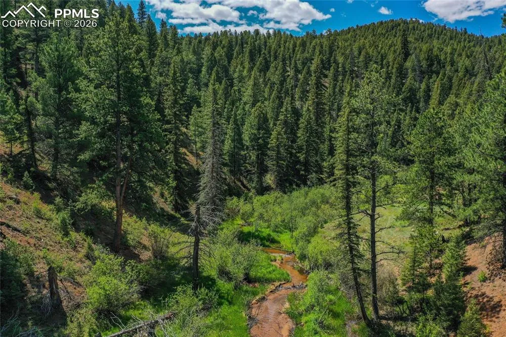 29545 Highway 67 Woodland Park, CO 80863