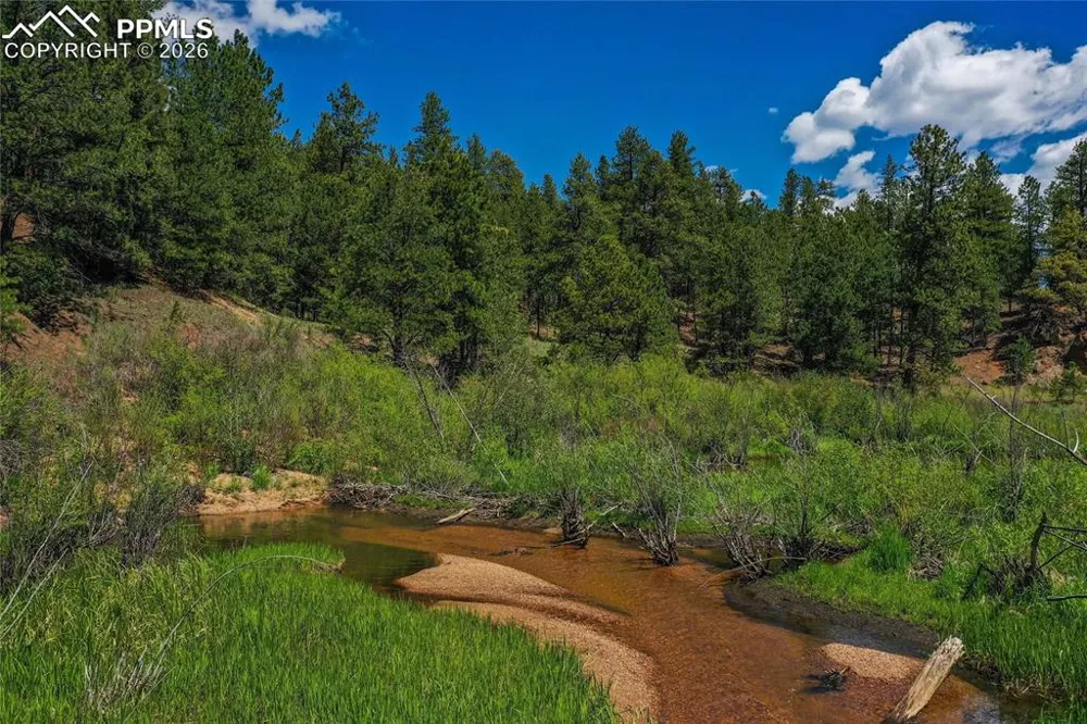 29545 Highway 67 Woodland Park, CO 80863