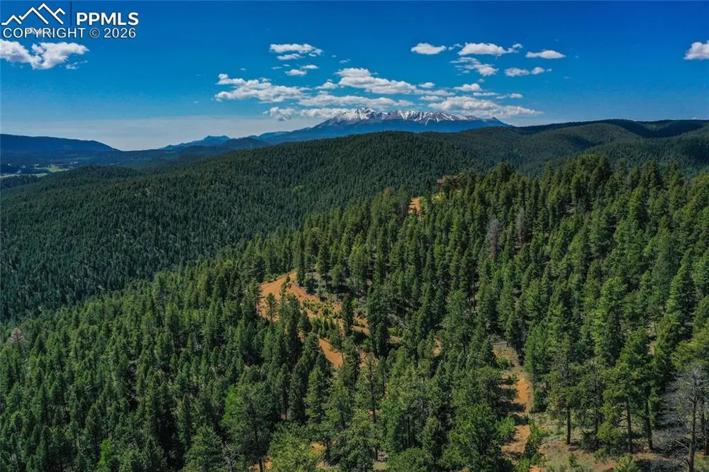 29545 Highway 67 Woodland Park, CO 80863