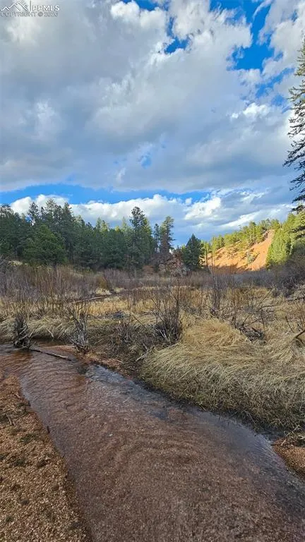 29545 Highway 67 Woodland Park, CO 80863