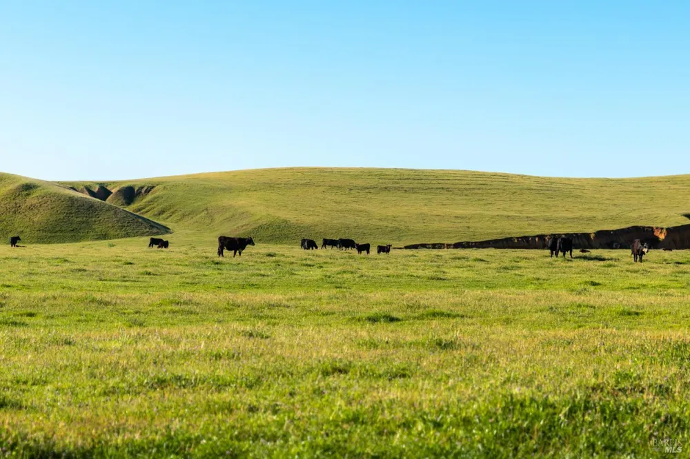 Rancho Tehama Road Red Bluff, CA 96021