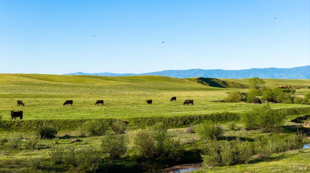 Rancho Tehama Road Red Bluff, CA 96021
