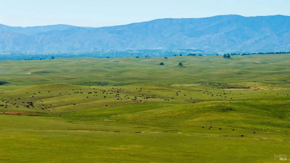 Rancho Tehama Road Red Bluff, CA 96021