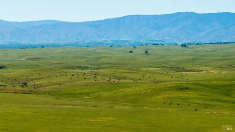 Rancho Tehama Road