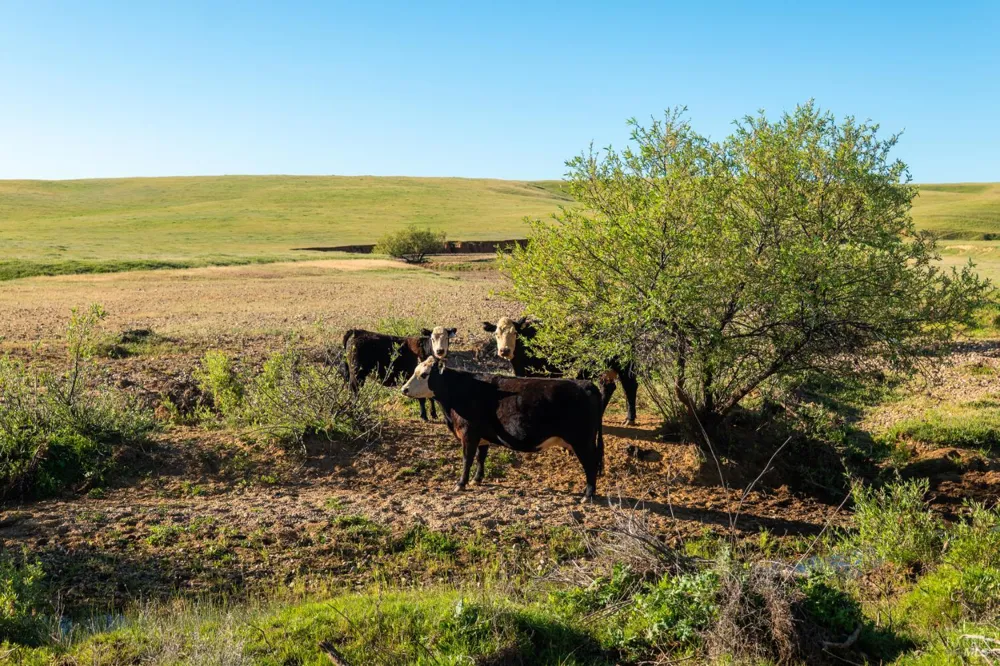 Rancho Tehama Road Red Bluff, CA 96021
