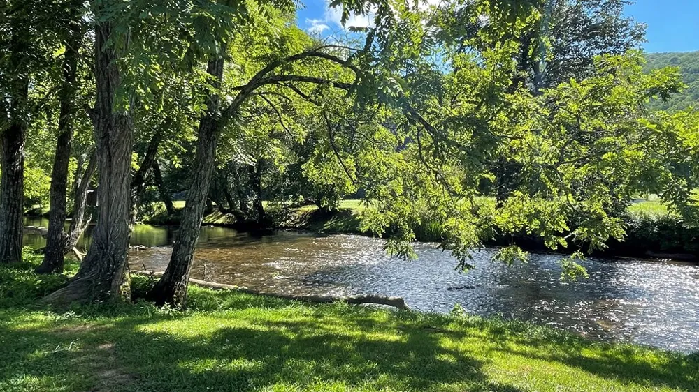 3556 River Front Lane Hiawassee, GA 30546