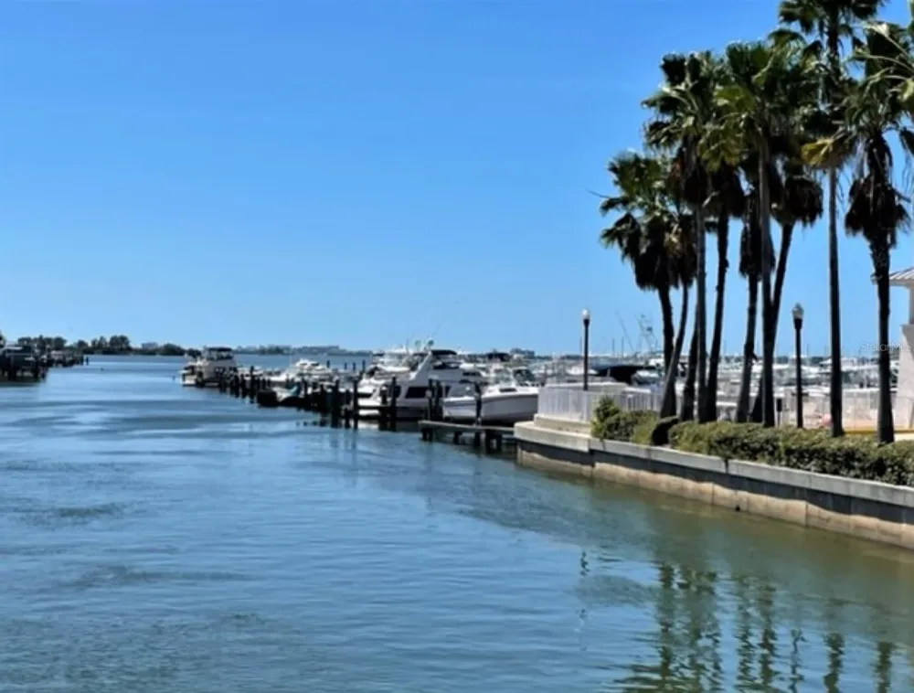 7 ISLAND PARK PLACE #204 Dunedin, FL 34698