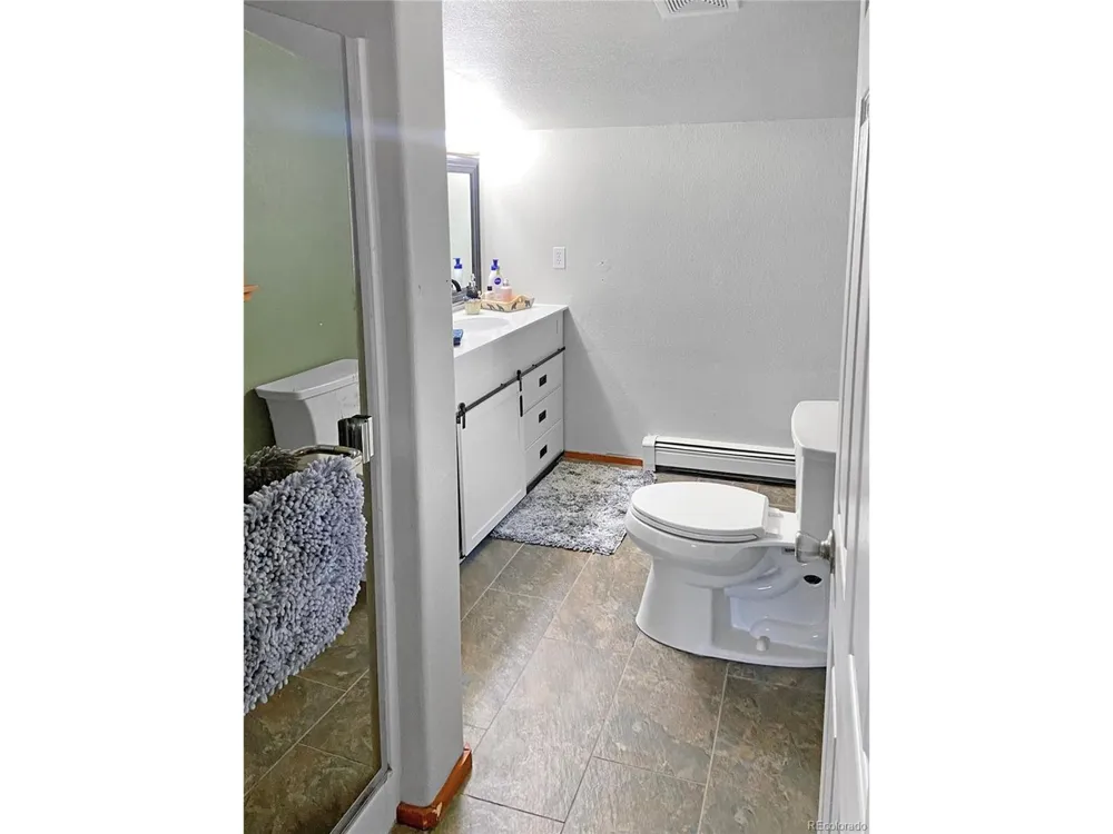 172 Elk Meadow Run Antonito, CO 81120