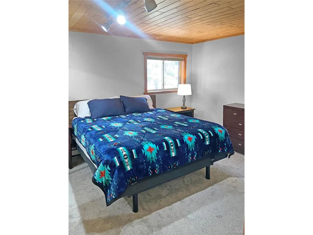 172 Elk Meadow Run Antonito, CO 81120