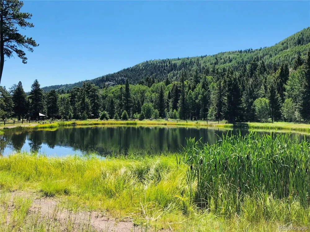 172 Elk Meadow Run Antonito, CO 81120