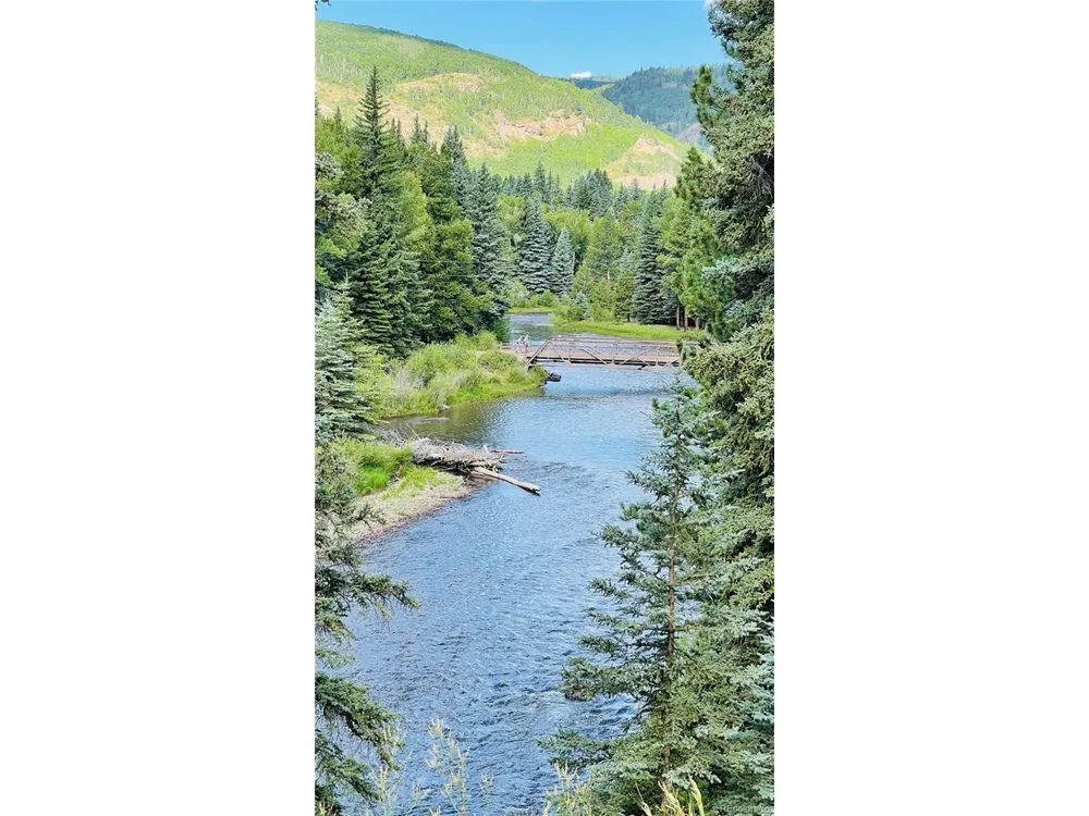 172 Elk Meadow Run Antonito, CO 81120