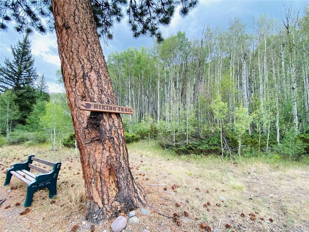 172 Elk Meadow Run Antonito, CO 81120