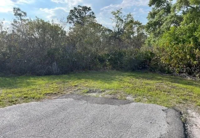 24005 83RD AVENUE E Myakka City, FL 34251