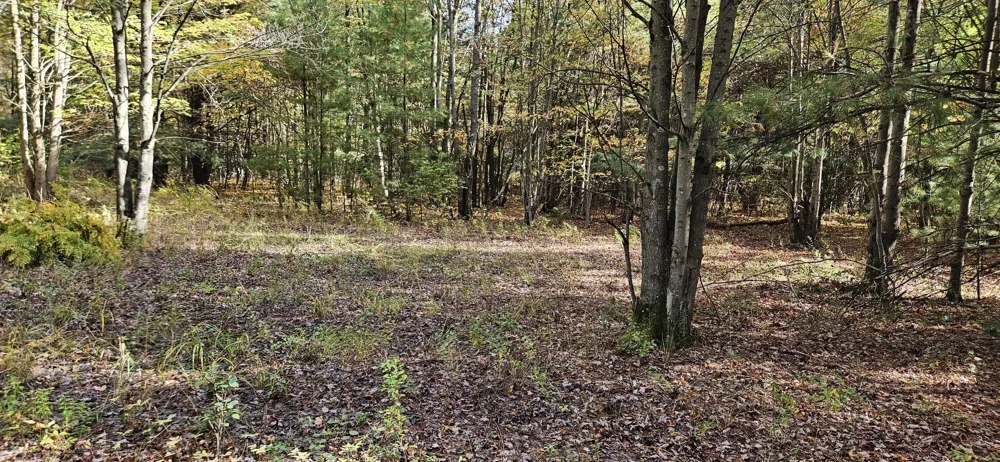1100 E Bard Muskegon, MI 49445