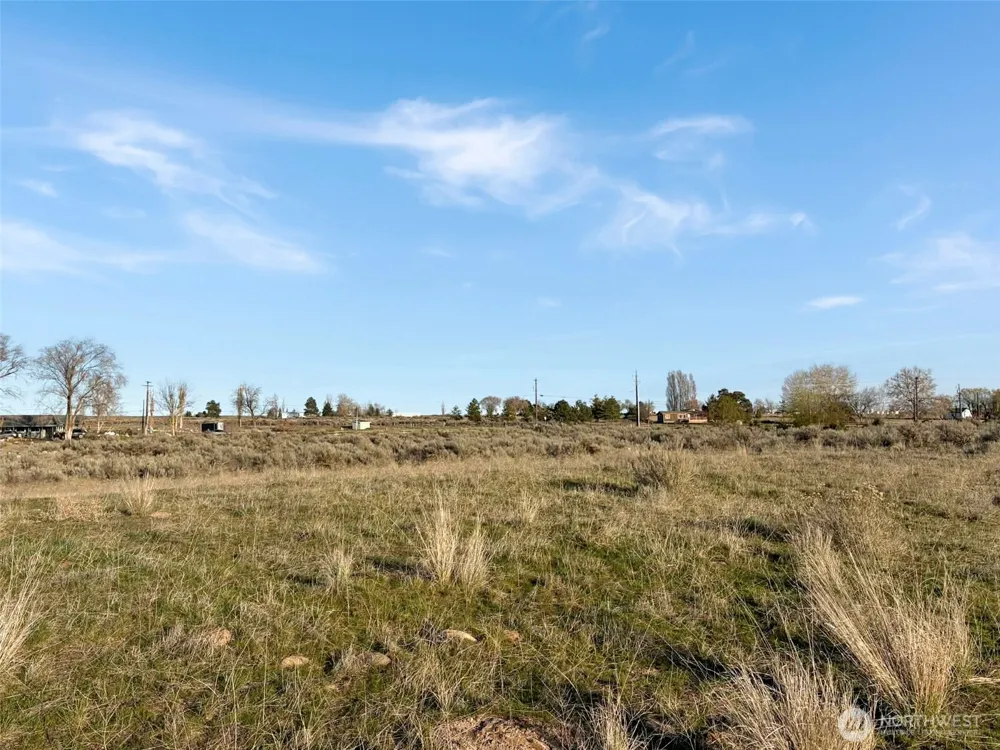 0 NE Road J Coulee City, WA 99115