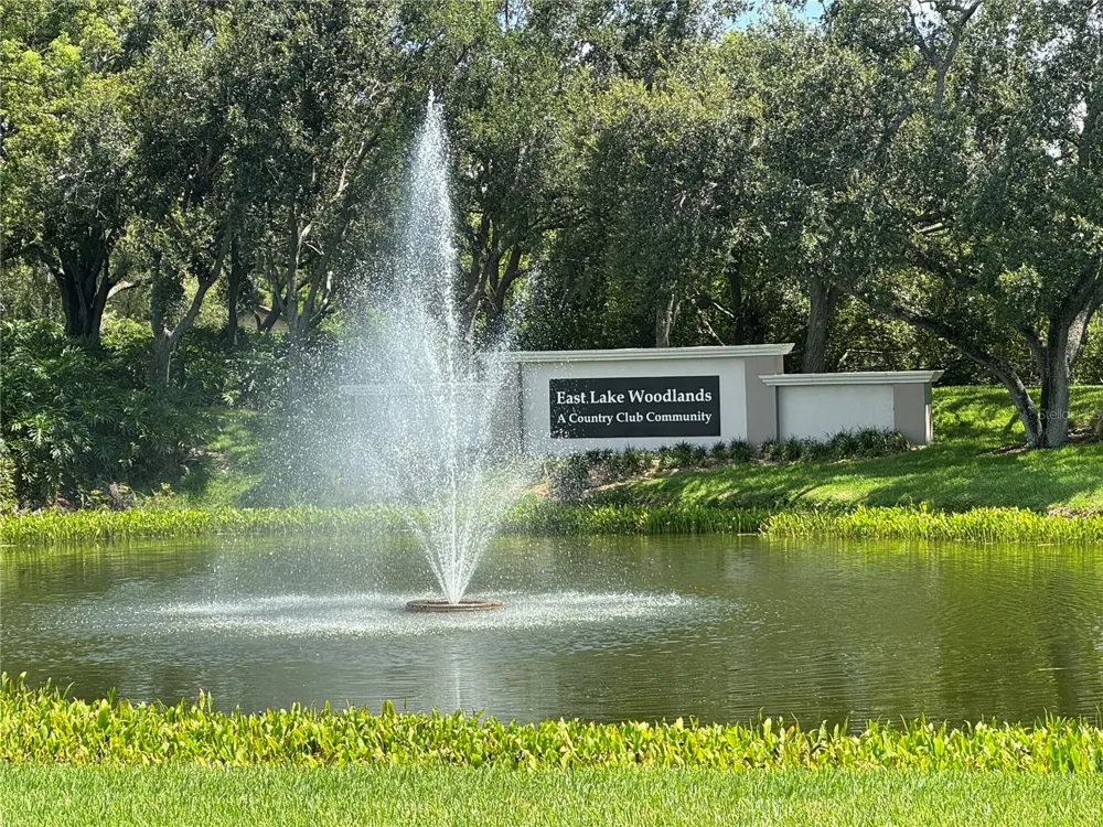 115 WINDWARD PLACE #15 Oldsmar, FL 34677