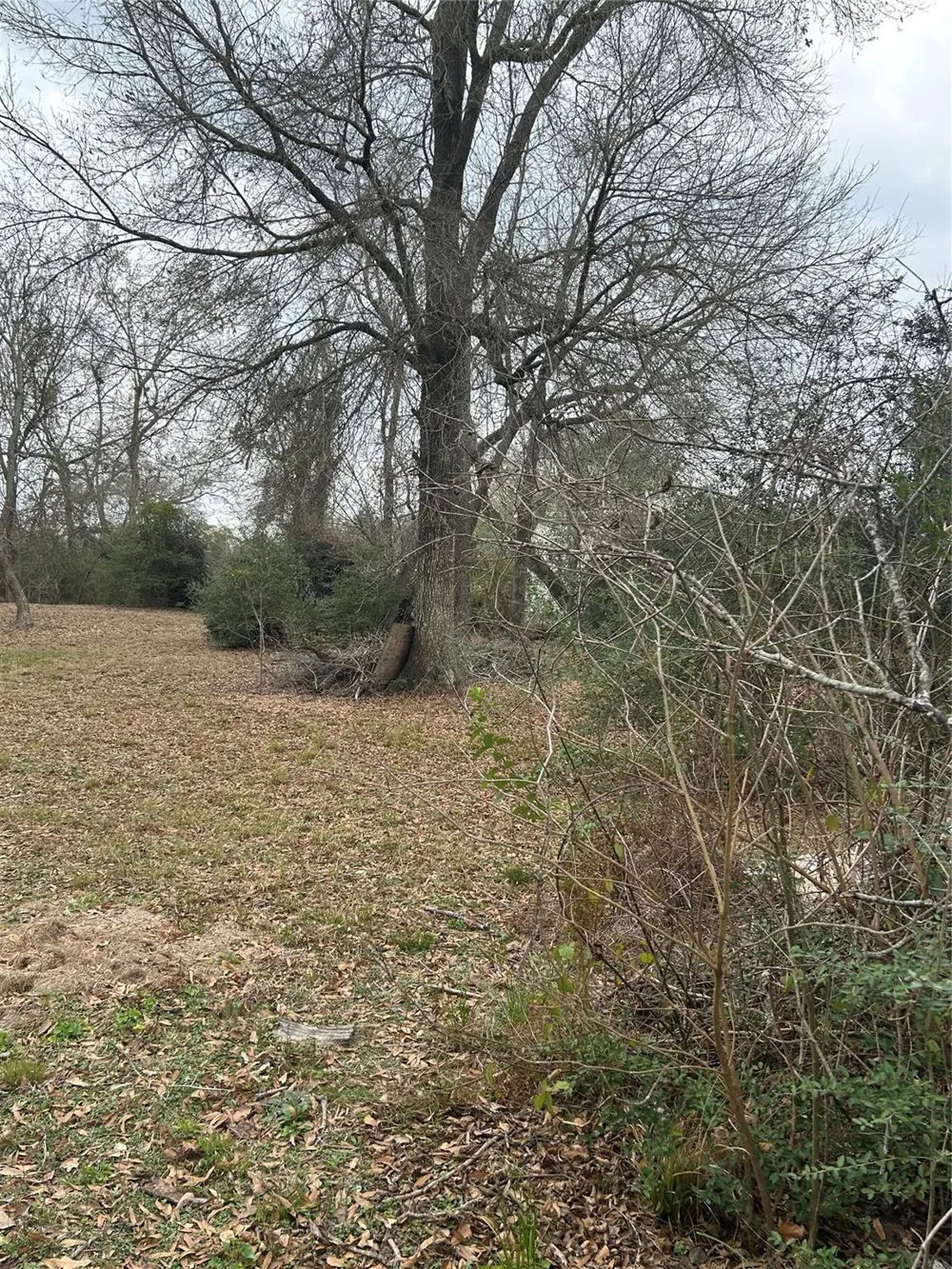 Pin Oak Drive Highlands, TX 77562