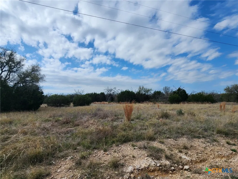 400 Blackjack Oak Drive Goldthwaite, TX 76844