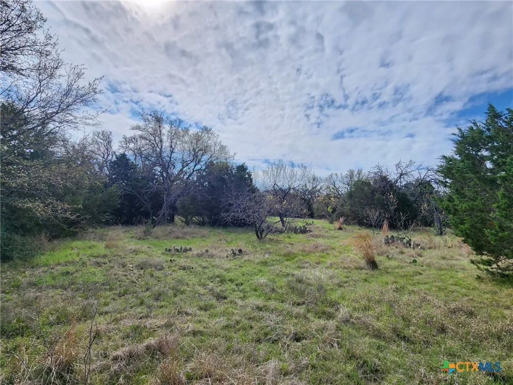 400 Blackjack Oak Drive Goldthwaite, TX 76844
