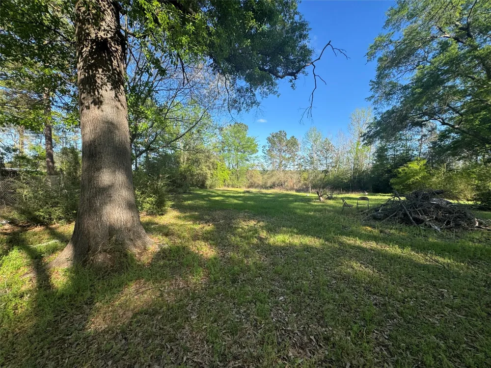 4696 Cr 3400 Colmesneil, TX 75938