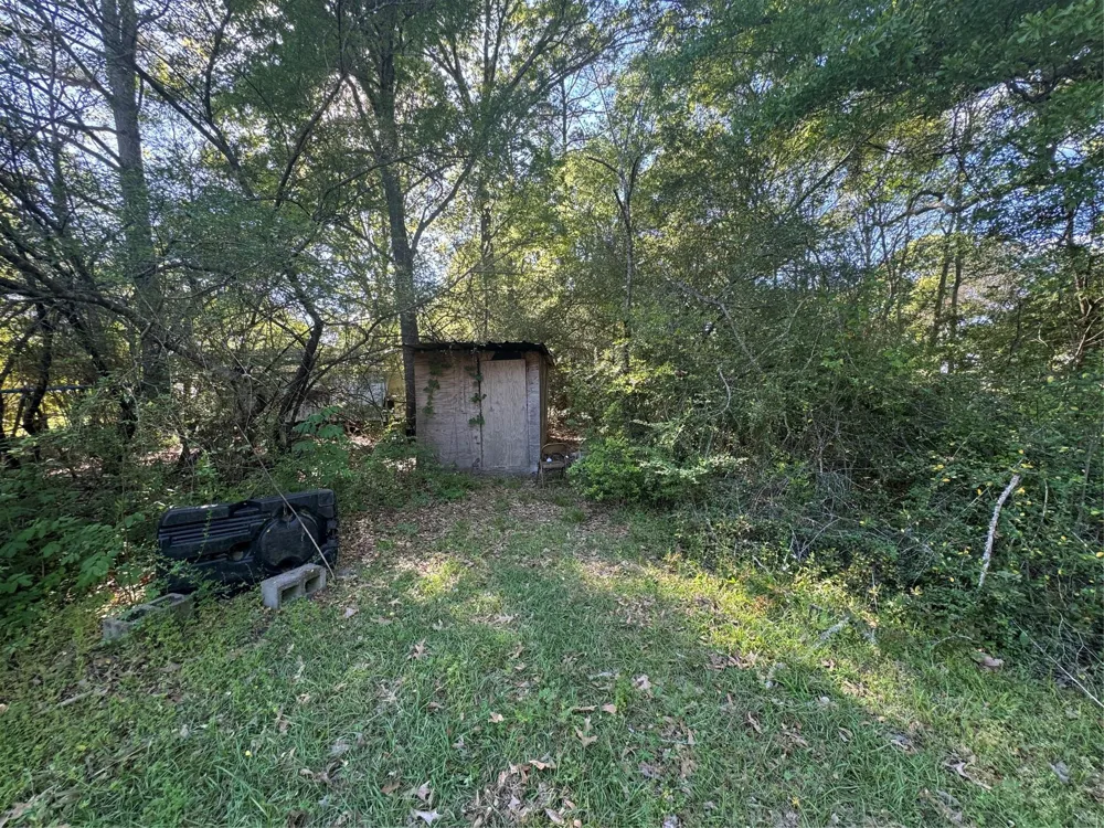 4696 Cr 3400 Colmesneil, TX 75938