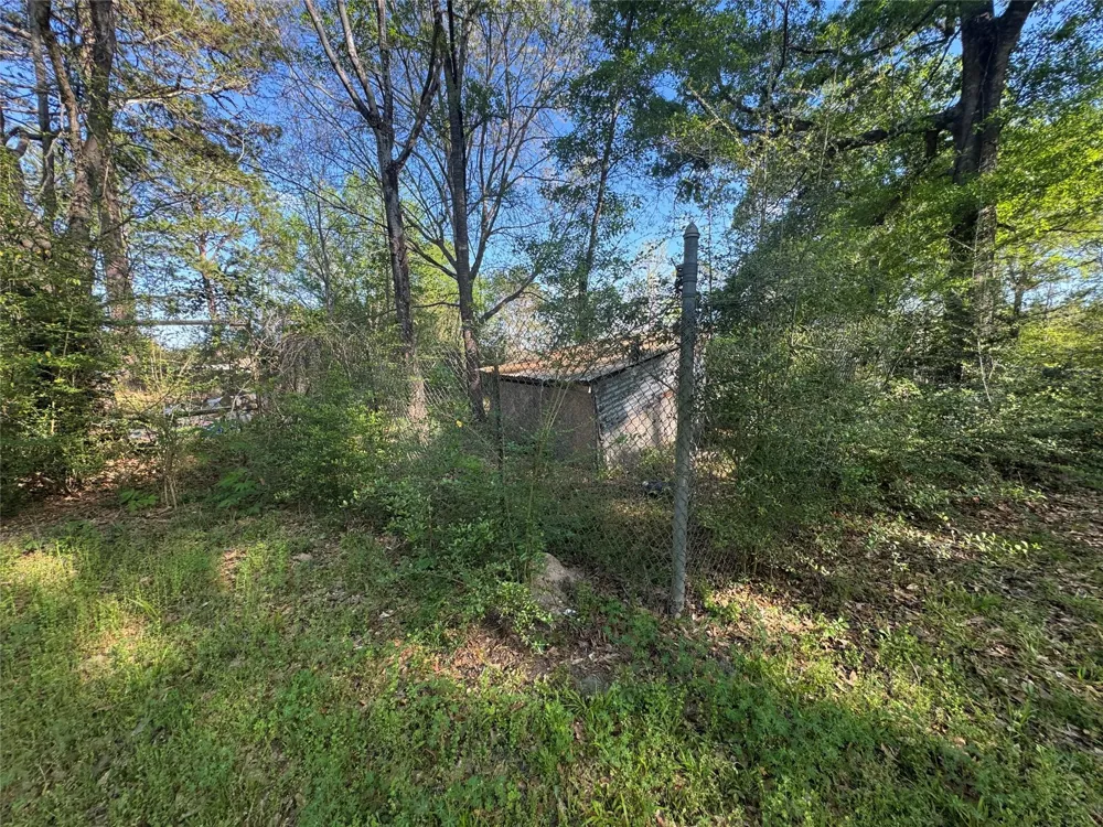 4696 Cr 3400 Colmesneil, TX 75938