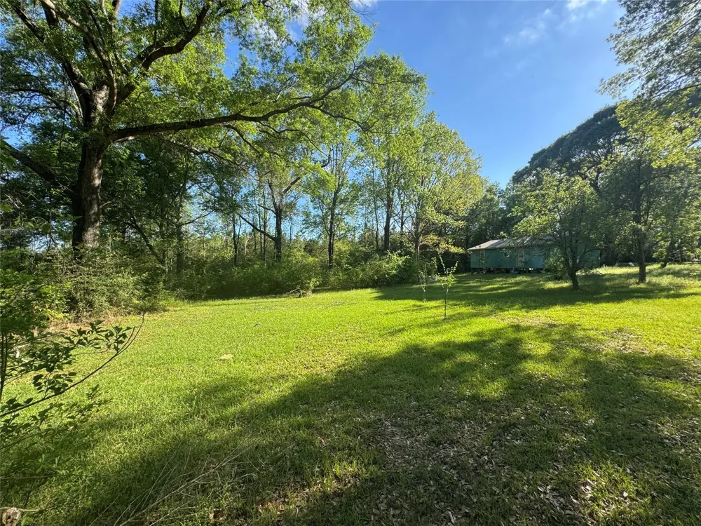 4696 Cr 3400 Colmesneil, TX 75938