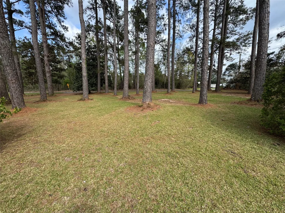 6344 Highway 4 Ringgold, LA 71068