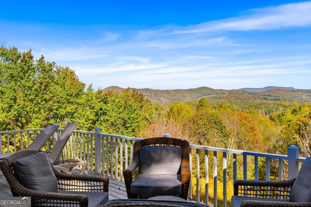 295 White Oak DR Warne, NC 28909