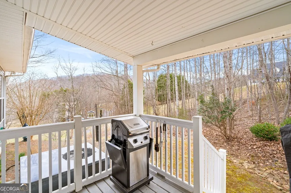 295 White Oak DR Warne, NC 28909
