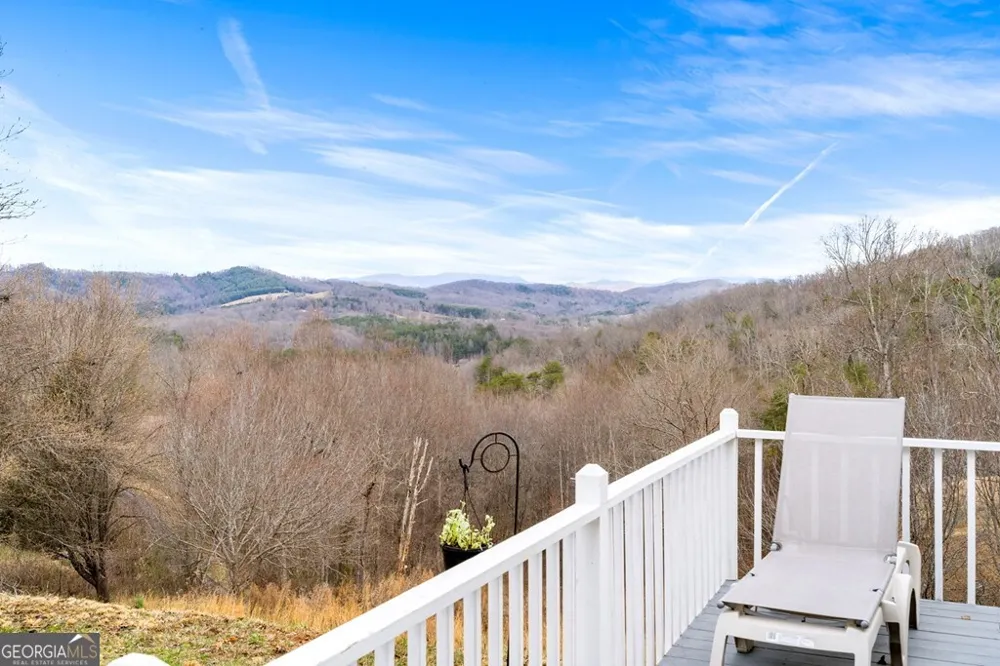 295 White Oak DR Warne, NC 28909